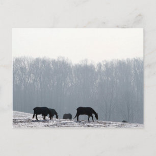 Cartão Postal Condado de Chester, Pa