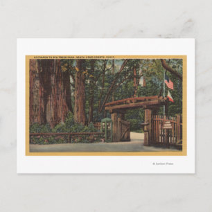 Cartão Postal Condado de papais noeis Cruz, Entrada da CA no Par