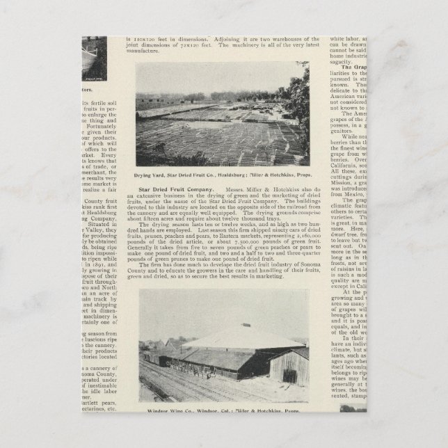 Cartão Postal Condado de Sonoma, Califórnia (Frente)