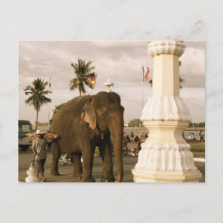 Cartão Postal Condutor de Elefante e Elefante