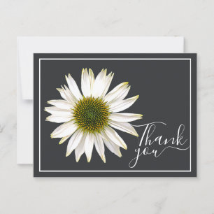 Cartão Postal Coneflower Branco Fundo Cinza Carvão Obrigado