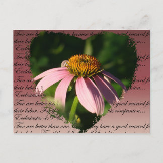 Cartão Postal Coneflower com verso de amizade