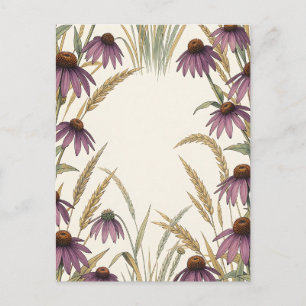 Cartão Postal Coneflower Roxo de Trigo Botânico