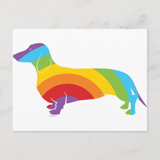 Cartão Postal Conexão Doxie Rainbow (Frente)