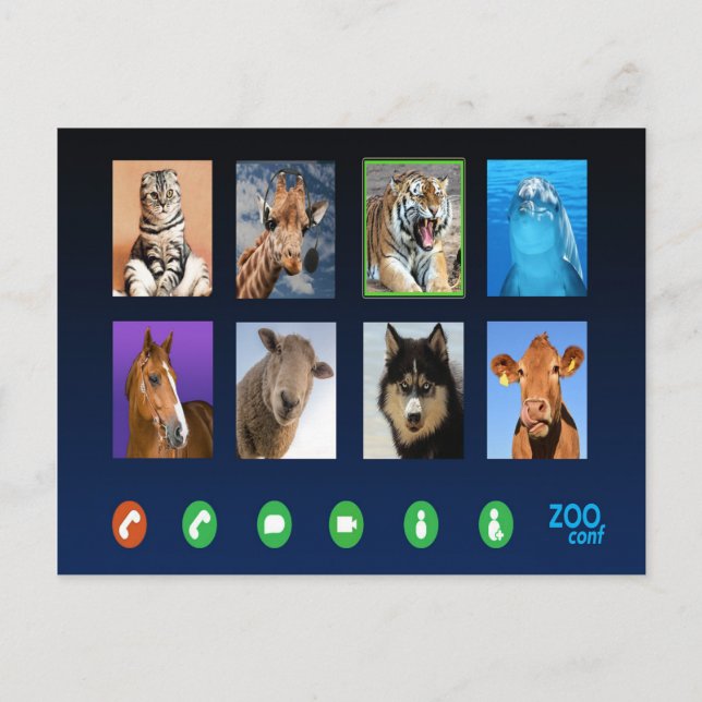 Cartão Postal Conferência de Vídeo Animal (Frente)