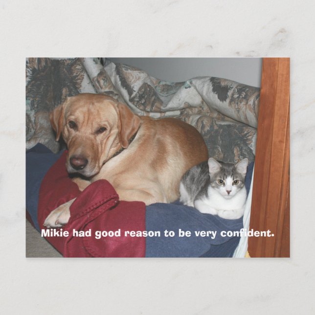 Cartão Postal Confiança (Frente)