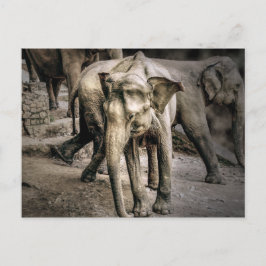 Cartão Postal Confirmação