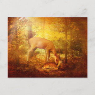 Cartão Postal Confortar minhas Pessoas