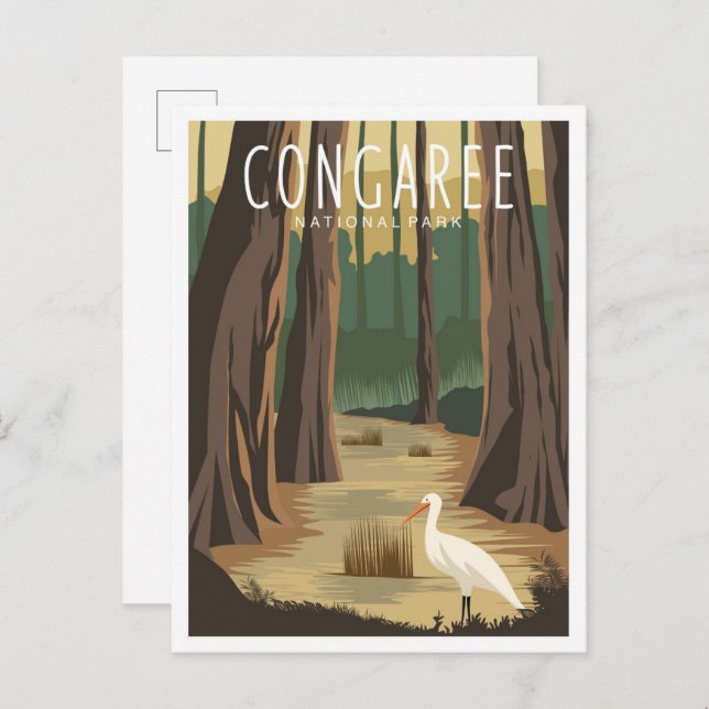 Cartão Postal Congaree National Park - Ilustração da Carolina do (Frente/Verso)