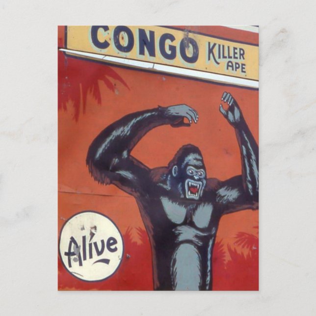 Cartão Postal Congo, o assassino do Circo (Frente)