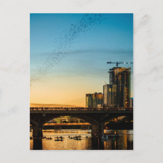 Cartão Postal Congress Avenue Bridge Bat Watching