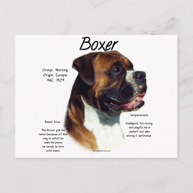 Cartão Postal Conheça a Raça (Frente)