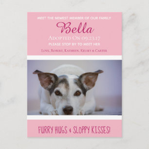 Cartão Postal Conheça O Anúncio "Novo Pet" Do Membro Mais Recent