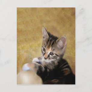 Cartão Postal Conheça o Tiger