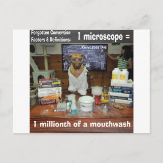 Cartão Postal Conhecimento Cachorro Conversões Esquecidas Micros