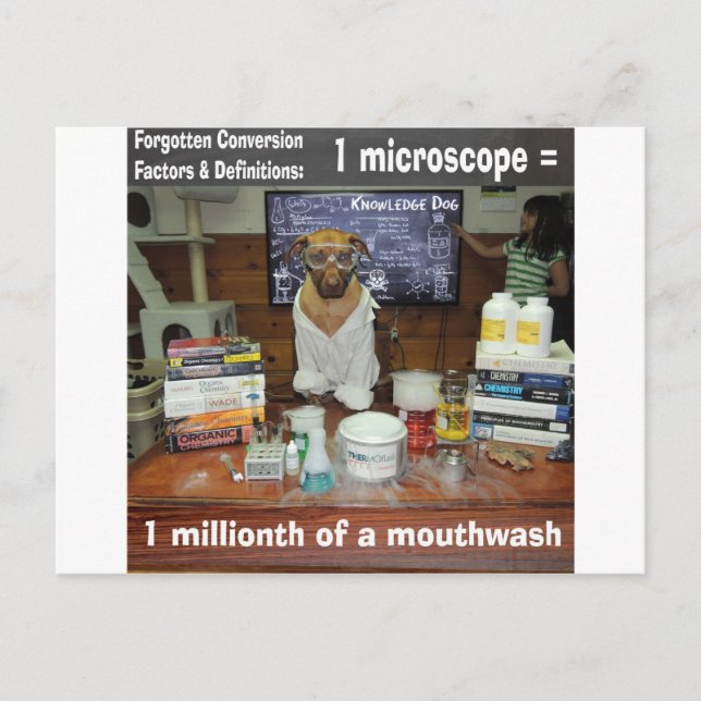 Cartão Postal Conhecimento Cachorro Conversões Esquecidas Micros (Frente)