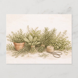 Cartão Postal Conjunto de Ervas Rústicas Pintura Botânica em Aqu