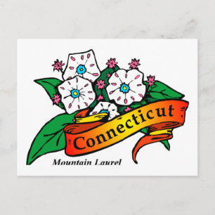Cartão Postal Connecticut Mountain Laurel