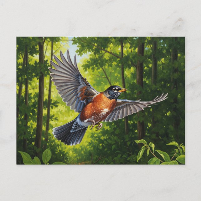 Cartão Postal Connecticut State Bird American Robin (Frente)