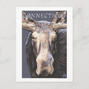 Cartão Postal ConnecticutMoose para Cima Fechar
