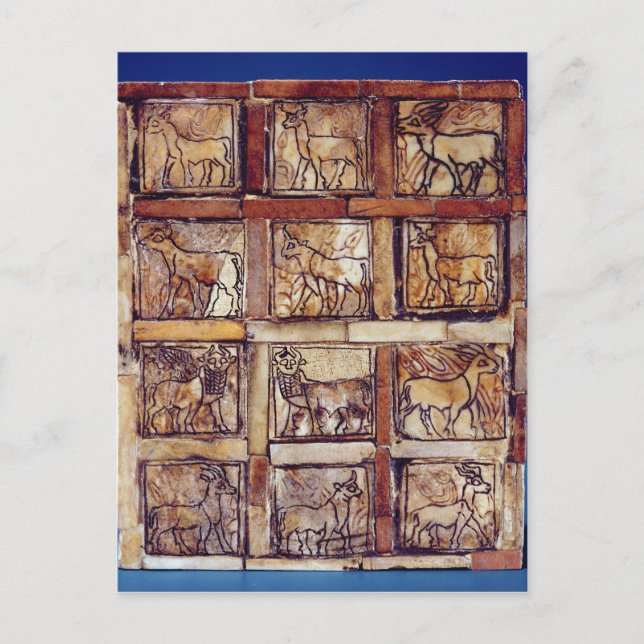 Cartão Postal Conselho de jogos, animais do campo e floresta (Frente)