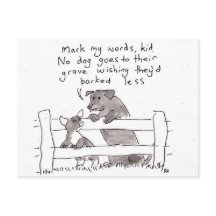 Conselhos para um Cuppy