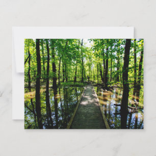 Cartão Postal Conservação da Natureza Twin Swamps, Posey County,