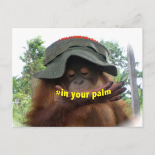Cartão Postal Conservação de Orangutan do Óleo de Palma