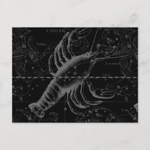 Cartão Postal Constelação de cancer Hevelius 1690 em preto
