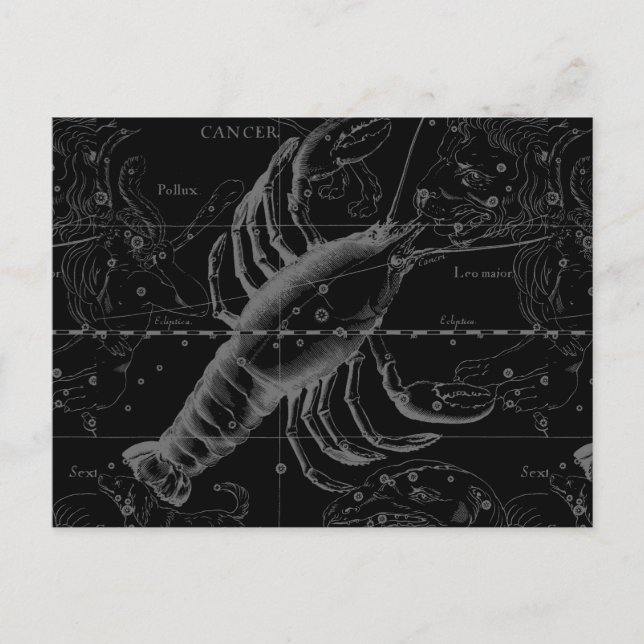 Cartão Postal Constelação de Câncer Hevelius 1690 em Preto (Frente)