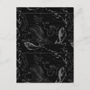 Cartão Postal Constelação de peixes Hevelius 1690 em preto