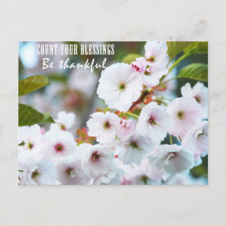 Cartão Postal Conte suas bênçãos