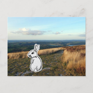 Cartão Postal Contemplative Rabbit