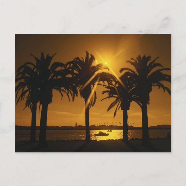 Cartão Postal Contexto do Céu Tropical (Frente)