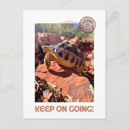 Cartão Postal Continua a insinuar a tartaruga de codimulação ins