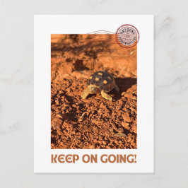 Cartão Postal Continua a usar o código motivacional Tortoise