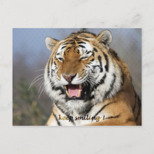 Cartão Postal continue sorrindo