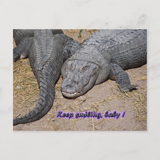 Cartão Postal continue sorrindo, bebê! (Frente)