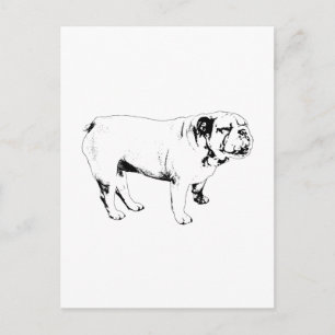 Cartão Postal contorno olá, bulldog