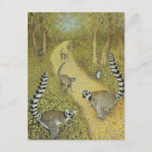 Cartão Postal Contos de contar