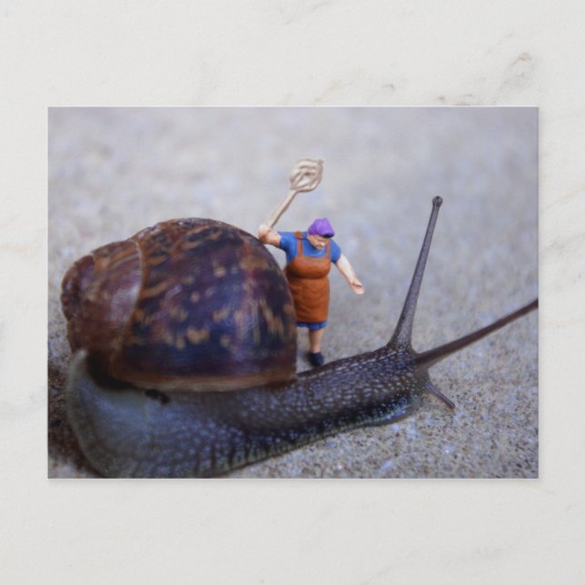 Cartão Postal Controle de pragas (Frente)