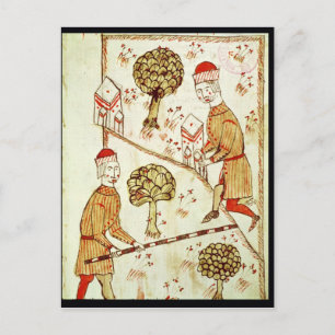 Cartão Postal Controlo e demarcação das terras