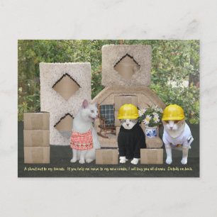 Cartão Postal Convocação Engraçado para Cat Ajudar a Mover