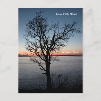 Cartão Postal Cook Inlet com Denali e Mt. Foraker - Alaska