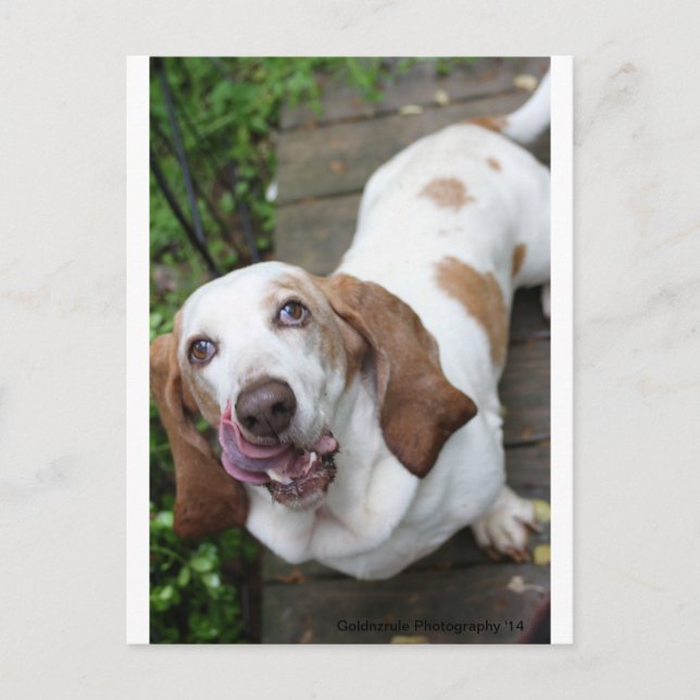 Cartão Postal Cookie? (Frente)