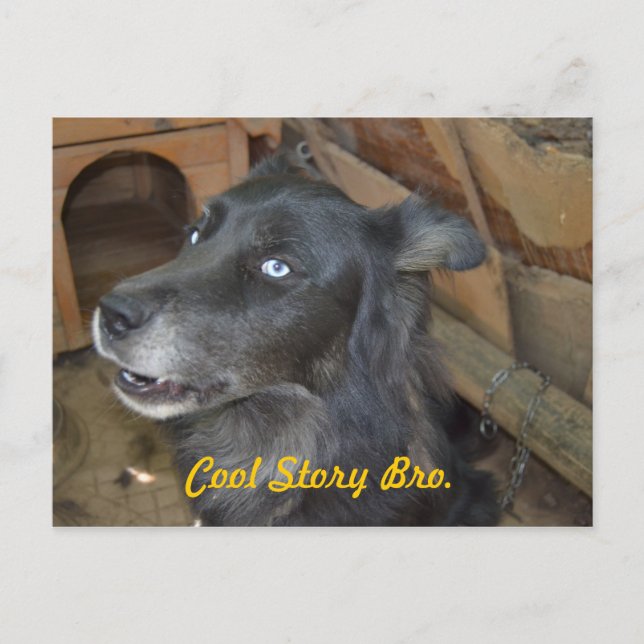 Cartão Postal Cool Story Bro (Frente)