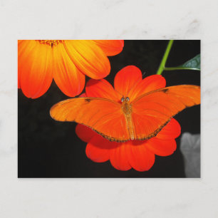 Cartão Postal coordenada por cor