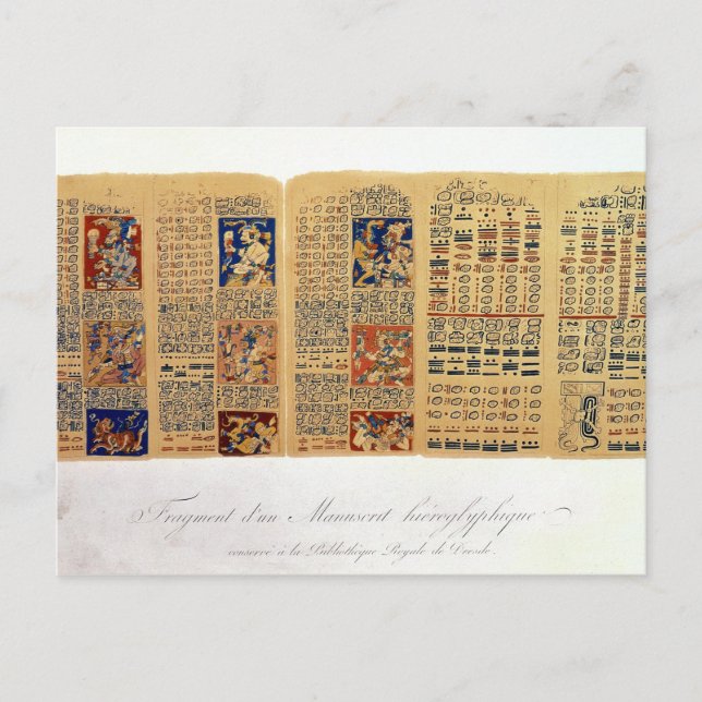 Cartão Postal Cópia de um fragmento do Codex de Dresden (Frente)