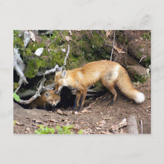 Cartão Postal Cópia DSC08270