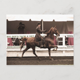 Cartão Postal cópia IMG_0065